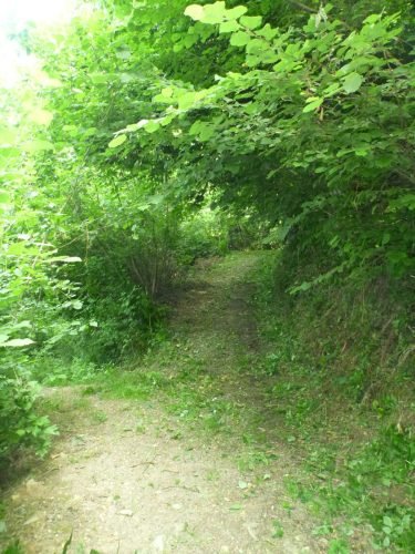 06.07.2013.pulizia-sentiero-bema-1