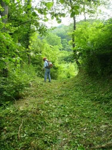 06.07.2013.pulizia-sentiero-bema-2