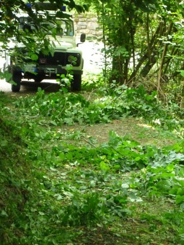 06.07.2013.pulizia-sentiero-bema-5