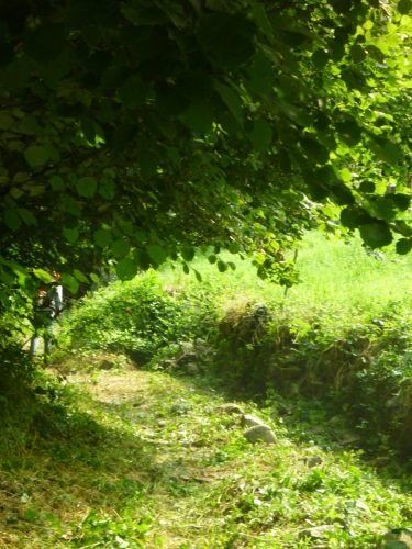 06.07.2013.pulizia-sentiero-bema-6