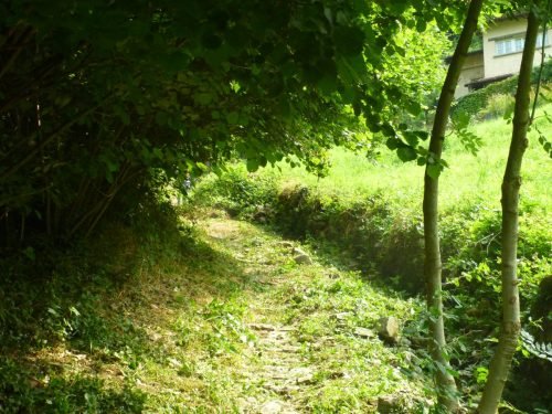 06.07.2013.pulizia-sentiero-bema-7