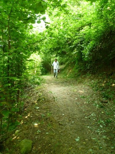 06.07.2013.pulizia-sentiero-bema-8