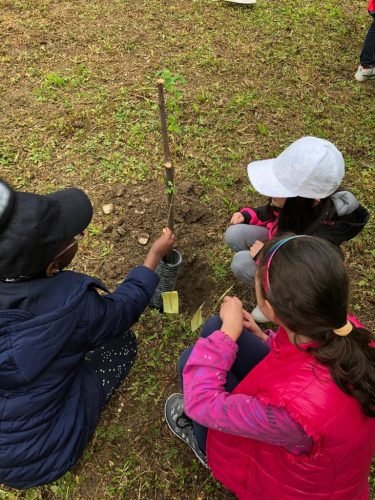 10.05.2019-7a-festa-dellalbero-1