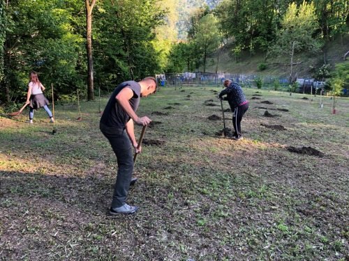 10.05.2019-7a-festa-dellalbero-10