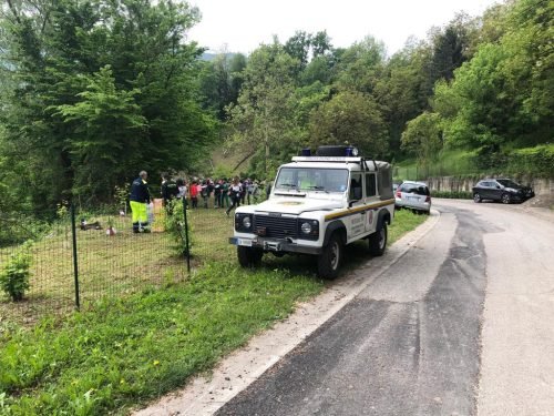 10.05.2019-7a-festa-dellalbero-2