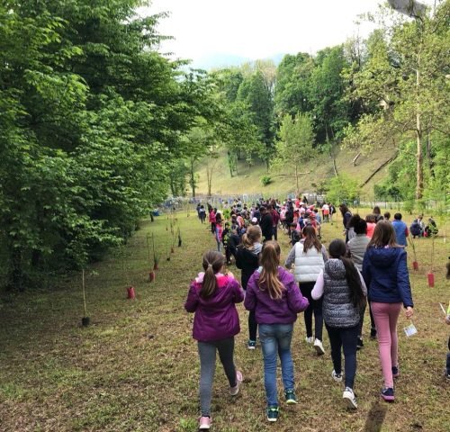 Festa dell'albero 2019