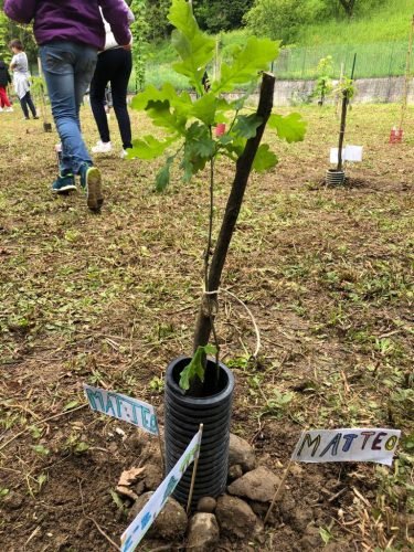 10.05.2019-7a-festa-dellalbero-7