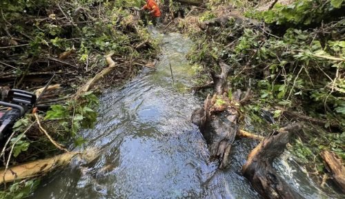18/05/2024_Riaperto un passaggio per il deflusso dell’acqua del torrente Sommaschio a Caprino Bergamasco, bloccato da tronchi franati durante il maltempo di questi giorni.