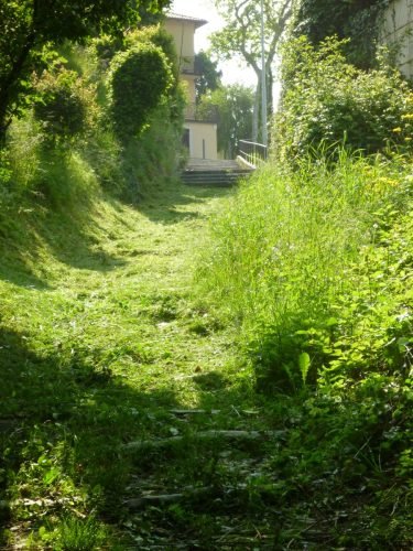 19.05.2012.pulizia-sentieri-10.jpg1  (1)