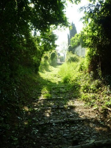 19.05.2012.pulizia-sentieri-11 (1)