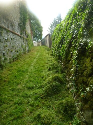 19.05.2012.pulizia-sentieri-4.jpg1 