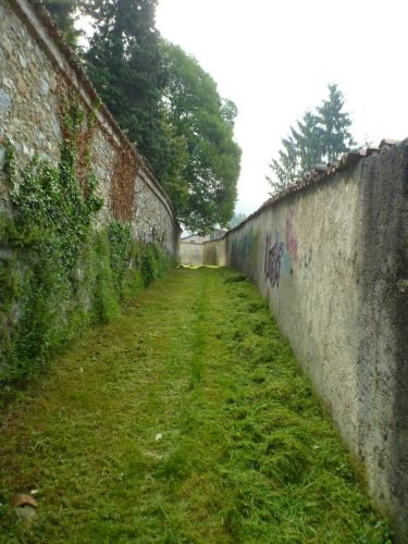 19.05.2012.pulizia-sentieri-6.jpg1 