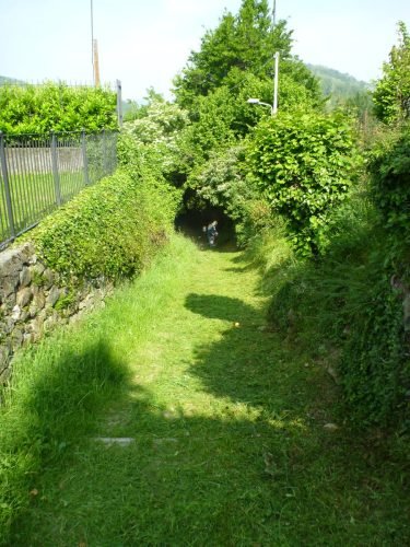 19.05.2012.pulizia-sentieri-7