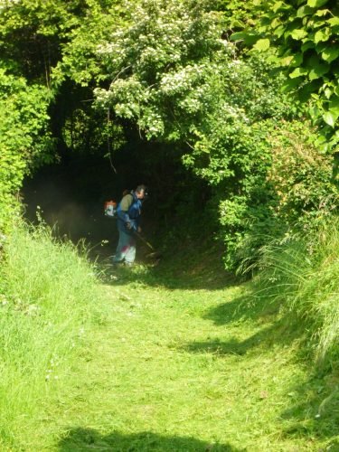 19.05.2012.pulizia-sentieri-8