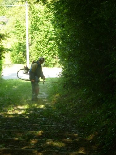 19.05.2012.pulizia-sentieri-9.jpg1  (1)