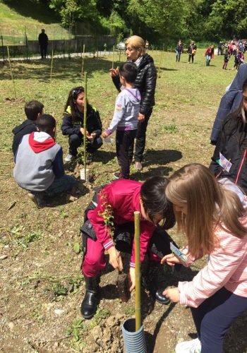 5a-festa-dell-albero-caprino-bergamasco-3