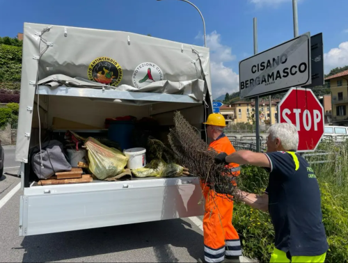 Festa dell'albero 2022