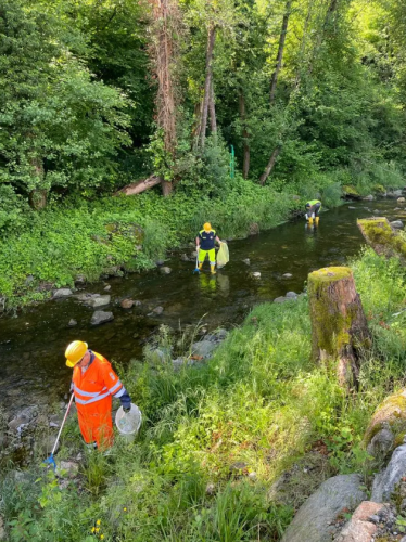 Screenshot-2025-06-27-173329