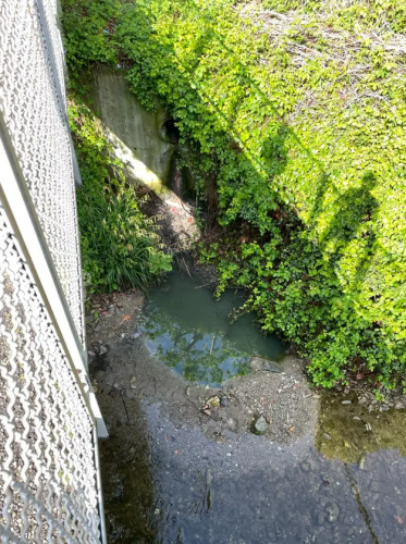 Screenshot-2025-06-27-173354