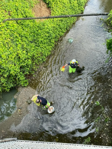 Screenshot-2025-06-27-173400