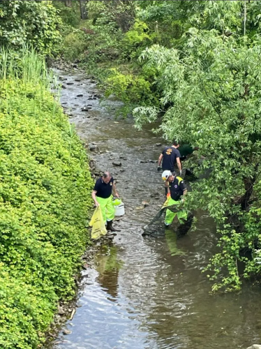 Screenshot-2025-06-27-173406