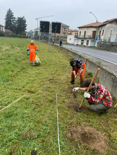 Screenshot-2025-06-27-173420