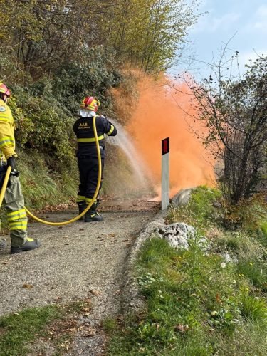 WhatsApp-Image-2026-02-08-at-13.06.02-6