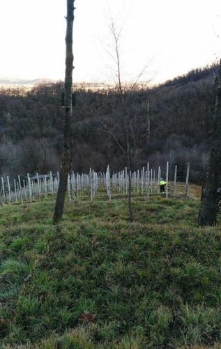 a i b-ambivere-17-01-2016-1