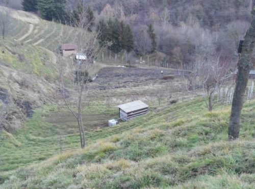 a i b-ambivere-17-01-2016-3