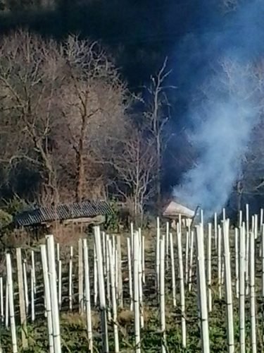 a i b-ambivere-17-01-2016-5