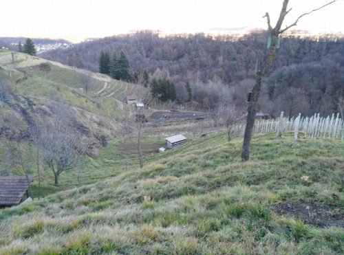 a i b-ambivere-17-01-2016-6