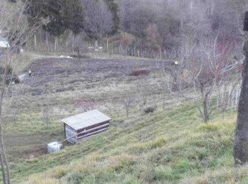 a i b-ambivere-17-01-2016-8