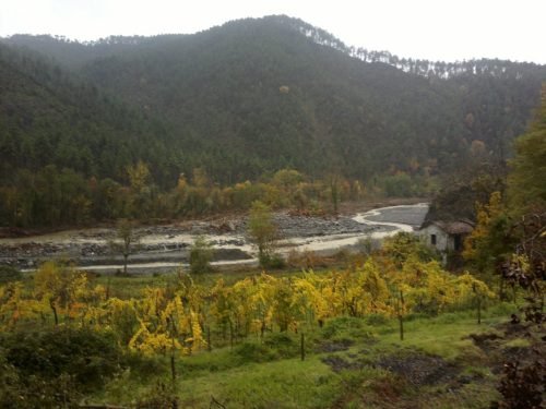 alluvione-in-val-di-vara-sp-borghetto-di-vara-02-05-11-2011-38-2