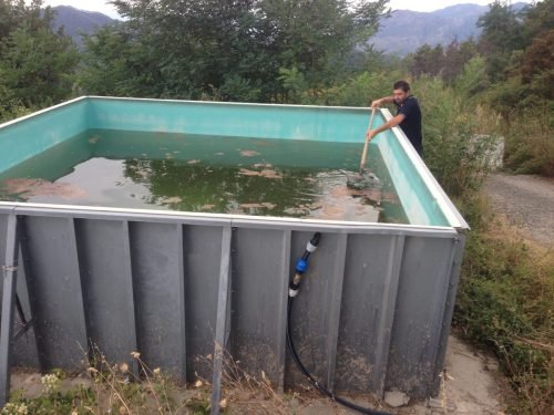 campagna-aib-5-terre-15-1