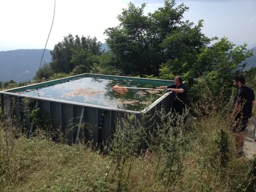 campagna-aib-5-terre-17