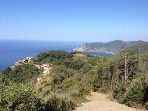 campagna-aib-5-terre-3-1