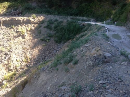 campagna-aib-5-terre-36