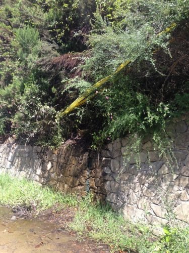 campagna-aib-5-terre-42