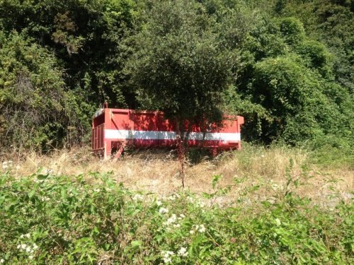 campagna-aib-5-terre-43