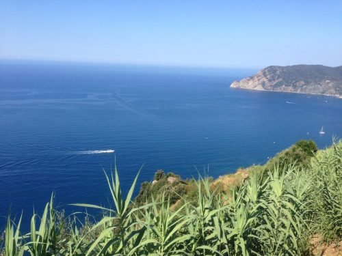 campagna-aib-5-terre-5-1