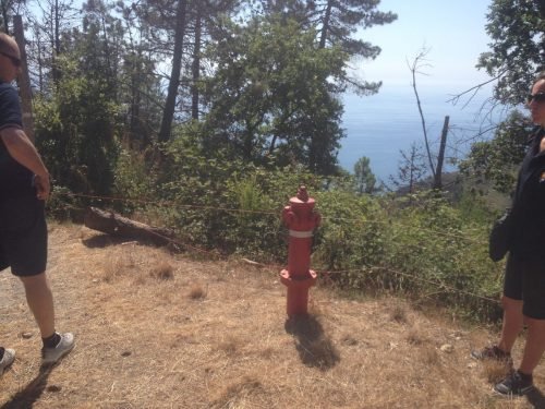 campagna-aib-5-terre-8-1