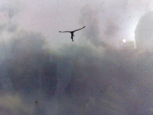 campo-estivo-aib-ad-arenzano-ge-17-24-luglio-2010-1