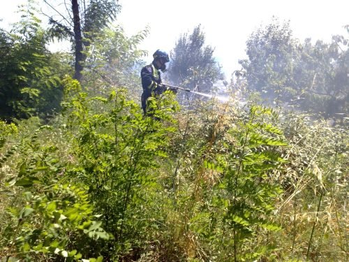 campo-estivo-aib-ad-arenzano-ge-17-24-luglio-2010-12