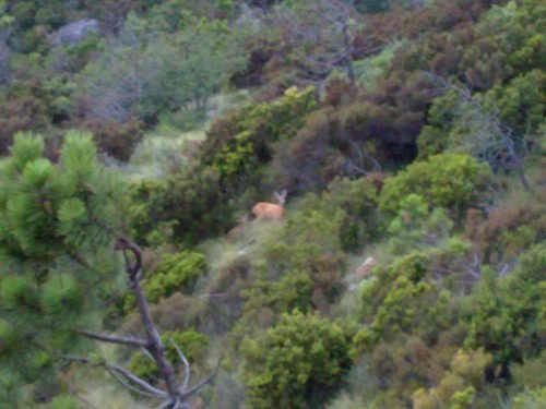 campo-estivo-aib-ad-arenzano-ge-17-24-luglio-2010-25-1