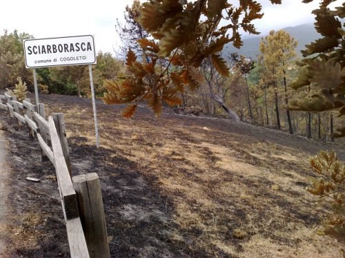 campo-estivo-aib-ad-arenzano-ge-17-24-luglio-2010-26-1