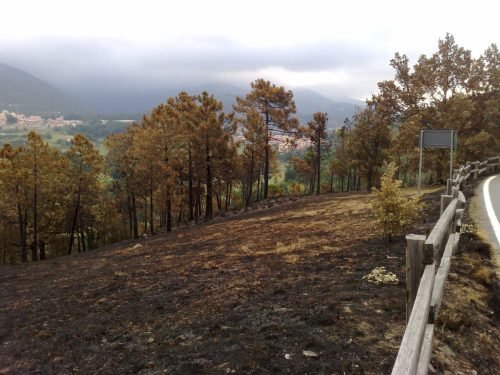 campo-estivo-aib-ad-arenzano-ge-17-24-luglio-2010-27-1