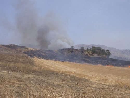 gemellaggio-aib-tra-regioni-lombardia-sicilia-12-19-luglio-2008-27-1