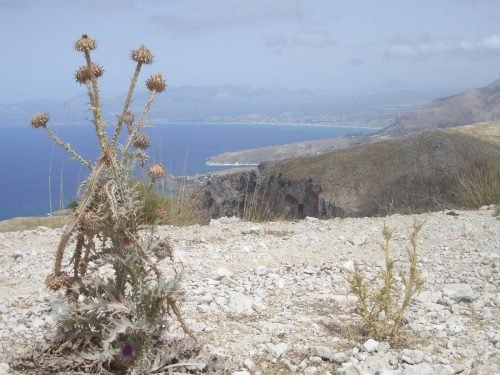 gemellaggio-aib-tra-regioni-lombardia-sicilia-12-19-luglio-2008-36