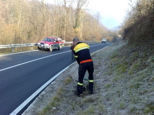 giornata-ecologica-con-ragazzi-3-media-caprino-bg.sco-13-03-2010-2