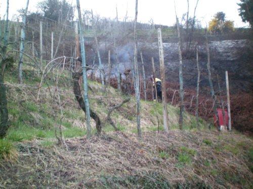 incendio-ambivere-22-03-2009-21